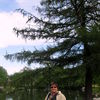  -,   , 61 ,   ,   , c 