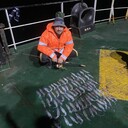  --,   , 34 ,   ,   , 