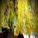 ���������� ������, ���� ������� ����, 47 ���, ������������ ��� ������, ����� � ���������