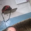 ���������� ���������, ���� ������� ���������, 42 ����, ������������ ��� ������, ����� � ���������, c�������� ���������