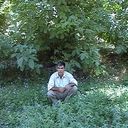  ,    , 41 ,   