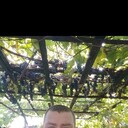 ���������� ��������, ���� ������� �������, 35 ���, ������������ ��� ������, ����� � ���������, c�������� ���������, ���������