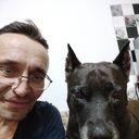  -,   , 49 ,   ,   