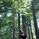 ���������� ������ ��������, ���� ����� ��������, 23 ����, ������������ ��� ������, ����� � ���������, c�������� ���������, ���������