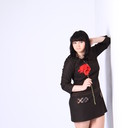 ���������� ������, ���� ������� ����������, 28 ���, ������������ ��� ������, ����� � ���������, c�������� ���������