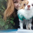  ,   , 52 ,     , c , 