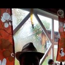 ���������� ����, ���� ������� ����, 43 ����, ������������ ��� ����� � ���������, c�������� ���������