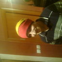 ���������� ���������, ���� ������� �������, 36 ���, ������������ ��� ������