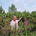  -,   Valerie, 45 ,   ,   