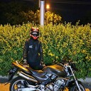 ���������� ����������, ���� ������� ������, 33 ����, ������������ 