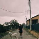  Sroda Slaska,   Temo, 41 ,   ,   , c , 