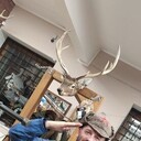  ,   , 46 ,     , c 