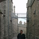   ,   , 51 ,   