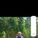  ,   Akif, 65 ,   ,   , c 