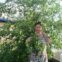 ���������� �������, ���� ������� ������, 51 ���, ������������ ��� ����� � ���������, c�������� ���������