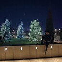 ���������� ���������, ���� ������� ������, 33 ����, ������������ ��� ����� � ���������, c�������� ���������