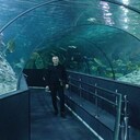 ���������� ������, ���� ������� ������, 42 ����, ������������ ��� c�������� ���������