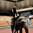 ���������� ������, ���� ����� ������, 22 ����, ������������ ��� ������