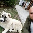 ���������� �������, ���� ������� ������, 36 ���, ������������ ��� ������, ����� � ���������