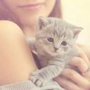 ���������� ������, ���� ������� ������ 46, 34 ����, ������������ ��� ������, ����� � ���������, c�������� ���������