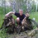 ���������� ���������, ���� ������� ���������, 43 ����, ������������ 