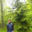  ,   , 51 ,  