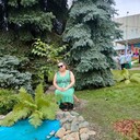  ,   , 36 ,   ,   , c 