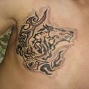 ���������� ������, ���� ������� Stom, 33 ����, ������������ ��� ������, ����� � ���������, c�������� ���������