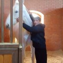  ,   , 58 ,   ,   , c 