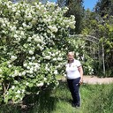 ���������� �����������, ���� ������� �����, 69 ���, ������������ ��� ����� � ���������, c�������� ���������