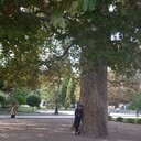 ���������� �����������, ���� ������� ����, 38 ���, ������������ ��� ������, ����� � ���������