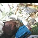 ���������� ������, ���� ������� ������, 42 ����, ������������ ��� ������, ����� � ���������, ���������