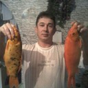 ���������� ��������, ���� ������� ����, 36 ���, ������������ ��� ����� � ���������, c�������� ���������