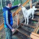 ���������� ������������, ���� ������� �����, 29 ���, ������������ ��� ������, ����� � ���������, c�������� ���������, ���������