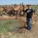  ,   Merdan_tejen, 44 ,     , c , 