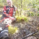 ���������� ��������, ���� ������� ������, 38 ���, ������������ ��� ������, ����� � ���������, c�������� ���������