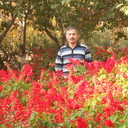 ���������� ����������, ���� ������� ����, 57 ���, ������������ ��� ������, ����� � ���������, c�������� ���������