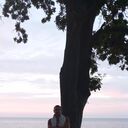  ,   , 44 ,   c , 