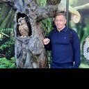 ���������� ������, ���� ������� �����, 45 ���, ������������ ��� ������, ����� � ���������