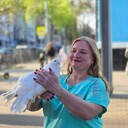  --,   , 44 ,   c 