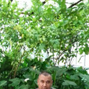 ,   , 45 ,   