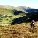 ���������� ����, ���� ������� ������ �����, 46 ���, ������������ ��� ������