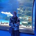 ���������� �����������, ���� ������� ����, 50 ���, ������������ ��� ����� � ���������, c�������� ���������, ���������