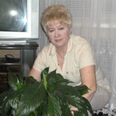 ���������� ������, ���� ������� ZOYA, 65 ���, ������������ ��� c�������� ���������, ���������