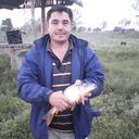  ,   , 55 ,   
