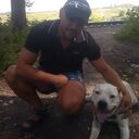 ���������� ������, ���� ������� ������, 38 ���, ������������ ��� ������, ����� � ���������