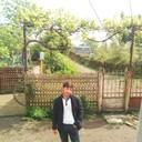 ���������� ������, ���� ������� Roma, 40 ���, ������������ ��� ������, ����� � ���������, c�������� ���������