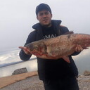 ���������� ��������, ���� ������� ����, 39 ���, ������������ ��� ������, ����� � ���������, c�������� ���������, ���������