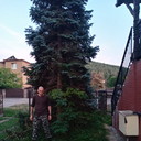  ,   Vitalii, 51 ,   ,   , c 