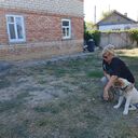  --,   , 56 ,   ,   , 